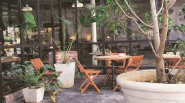 dog friendly restaurants, cafe dori, pet friendly cafe in delhi, eateries where pets are allowed, delhi food guide, quirky cafes in delhi, cafes in qutub, indian express