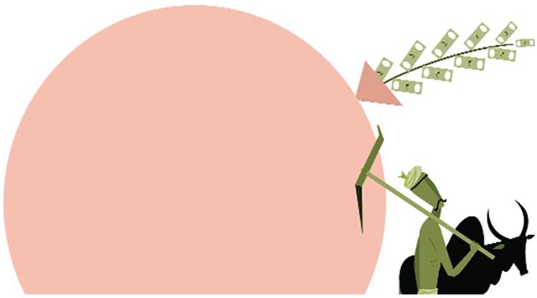 agrarian crisis in india