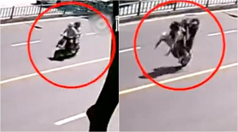 VIDEO: Family of 3 on a scooter have a serious accident, but that's not the  end | Trending News,The Indian Express