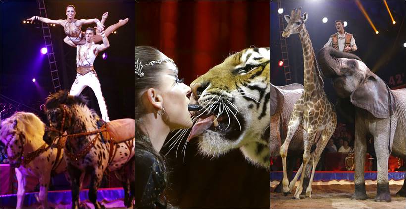 Monte-Carlo International Circus Festival, Monaco circus festival, Monaco circus festival latest photos, Monaco circus festival bizarre stunts, Monaco circus festival animal stunts, circus photos, indian express, indian express news