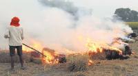 Punjab stubble burning, Haryana stubble burning, Uttar Pradesh stubble burning, SC, Supreme Court, India News, Indian Express, Indian Express News