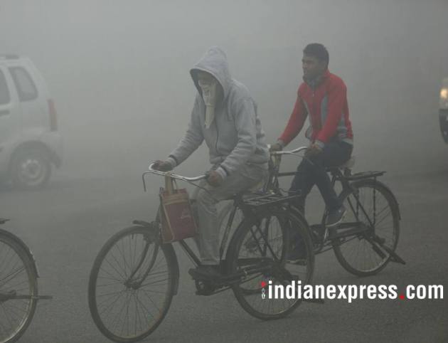 delhi weather, india weather, cold wave conditions, delhi fog
