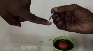 Meghalaya assembly elections 2018: All you need to know