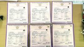 du fake degree, delhi university, du graduate, fake degree racket delhi, hari nagar, indian express