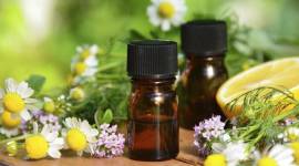 Herbal Oils