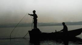 tripura fish supply, bangladesh tripura fish trade, bangladesh tripura fish supply, Agartala-Akhaura International Check Post, tripura gets fish supply, bangladesh tripura fish trade, bangladesh resumes fish supply
