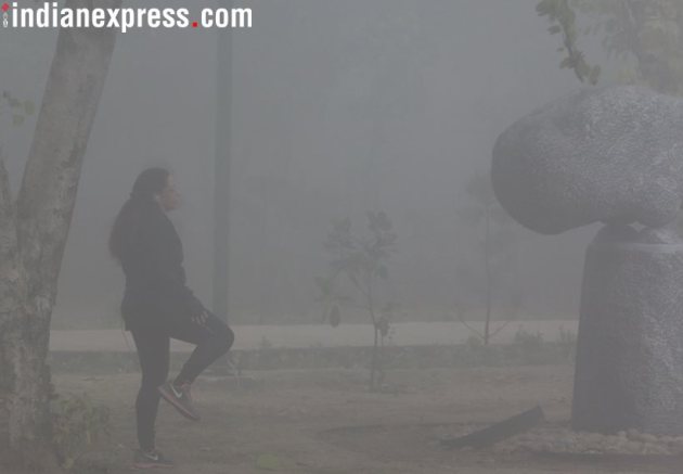 Delhi fog, Delhi worst fog, Delhi dense fog, Delhi weather, Delhi flights cancelled, Delhi news, India news, fog photos, New Year fog, Indian Express news