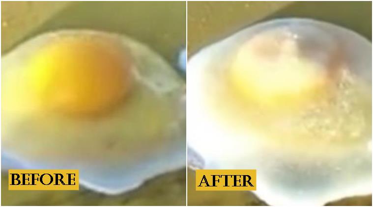 frozen egg, frozen egg china video, egg freezes in china, chinese video of freezing egg, viral video, indian express, Indian express news