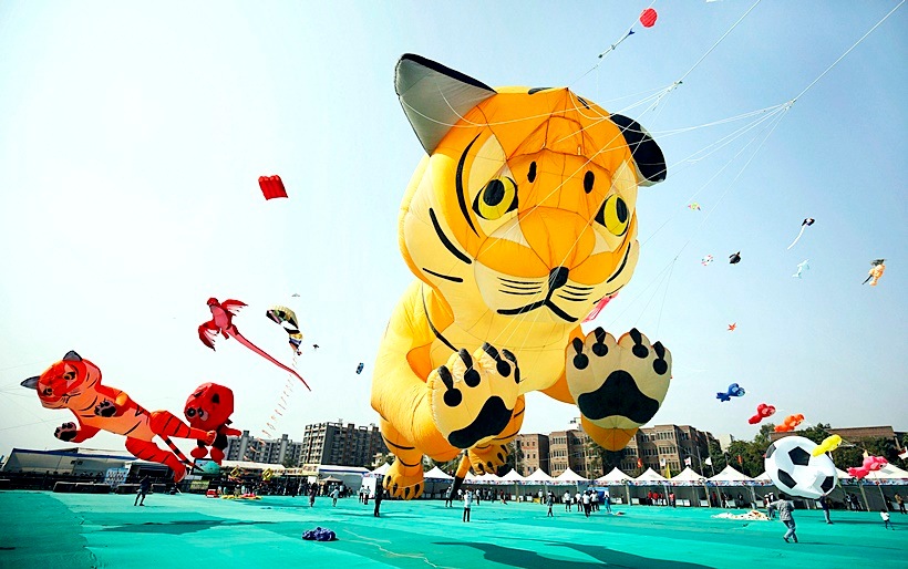International Kite Festival, International Kite Festival Gujarat, Gujarat Kite Festival, Kite Festival, Kite Festival pictures, indian express, indian express news
