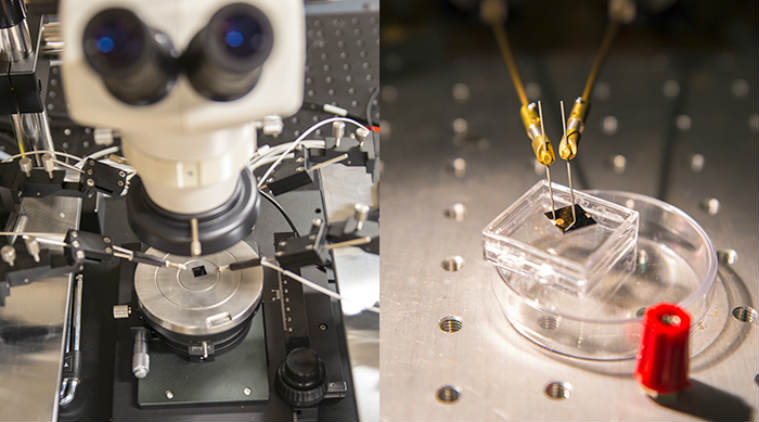 Internet of Things, neuromorphic chips, Aalto University, biological brain, autonomous devices, driverless cars, smart homes, quantum computing, electrical impulses 