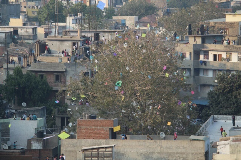 Uttarayan 2018, Uttarayan celebrations, Uttarayan in india, makar sankranti 2018, makar sankranti celebrations, makar sankranti images, happy makar sankranti