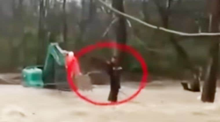 VIDEO: Woman Clutches Onto A Tree To Save Herself From Flooded River ...