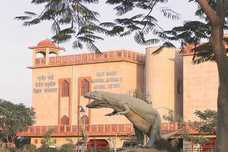leopard, Rajasthan museum, Rajasthan museum fire, National Museum of Natural History in Delhi, dinosaur, albino tiger, rhino, Sawai Madhopur, FICCI, FICCI building, Rajasthan museum,