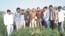 National Green Tribunal, NGT, Gurgaon meteor buzz, Meteor, India Meteorological Department, Haryana Urban Development Authority, NDMA, delhi news 