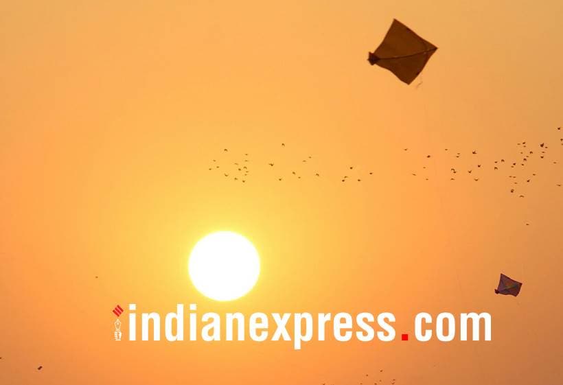 makar sankranti, pongal, makar sankranti pictures, pongal photos, makar sankranti 2018 photos, pongal photos, indian express, indian express news
