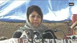 nowshera protest, nowshera town, rajouri district, jammu and kashmir, bureaucrats to visit nowshera, joint action committee