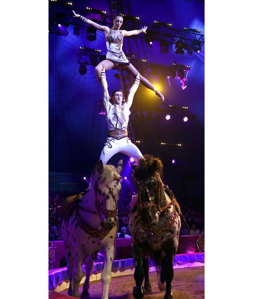 Monte-Carlo International Circus Festival, Monaco circus festival, Monaco circus festival latest photos, Monaco circus festival bizarre stunts, Monaco circus festival animal stunts, circus photos, indian express, indian express news