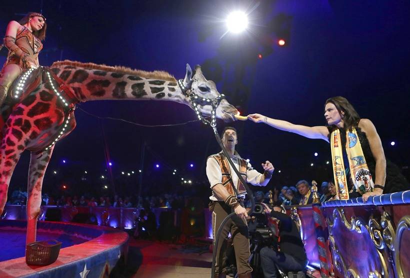 Monte-Carlo International Circus Festival, Monaco circus festival, Monaco circus festival latest photos, Monaco circus festival bizarre stunts, Monaco circus festival animal stunts, circus photos, indian express, indian express news