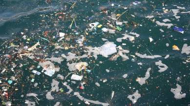 ocean pollution, campaign, environmental hazard, campaign against pollution, water pollution, health hazard, Army sailors on expedition, Indian Express