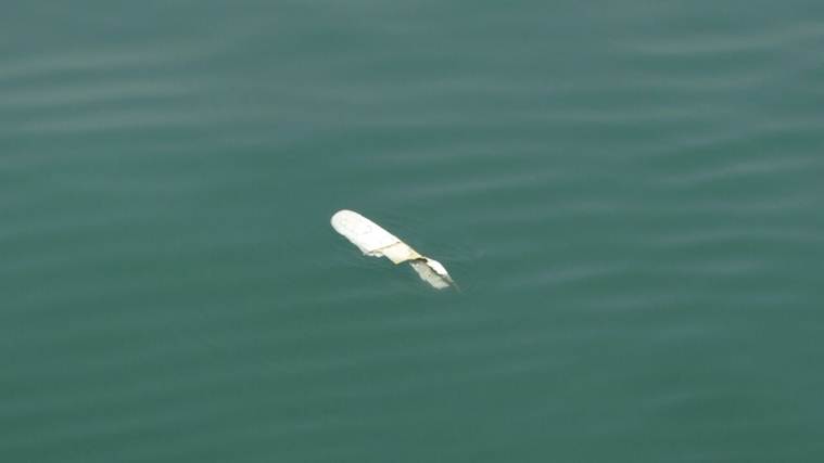 Mumbai: At least four dead as chopper with ONGC employees crashes, search ops underway