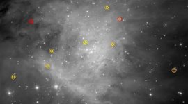 Hubble Space Telescope, brown dwarfs, young stars, Space Telescope Institute, substellar objects, nuclear fusion, exoplanets, James Webb Space Telescope