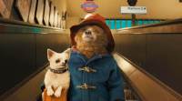 paddington 2 movie review