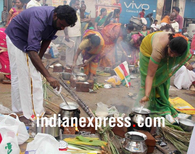 makar sankranti, pongal, makar sankranti pictures, pongal photos, makar sankranti 2018 photos, pongal photos, indian express, indian express news