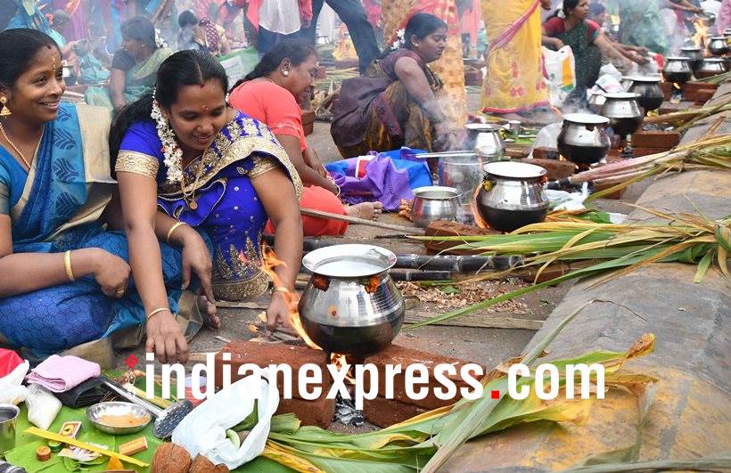 makar sankranti, pongal, makar sankranti pictures, pongal photos, makar sankranti 2018 photos, pongal photos, indian express, indian express news