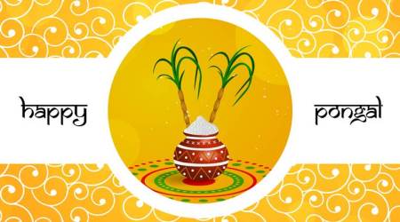 pongal wishes, pongal whatsapp messages