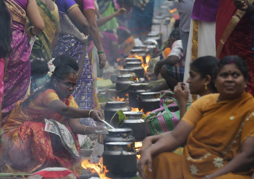 makar sankranti, pongal, makar sankranti pictures, pongal photos, makar sankranti 2018 photos, pongal photos, indian express, indian express news