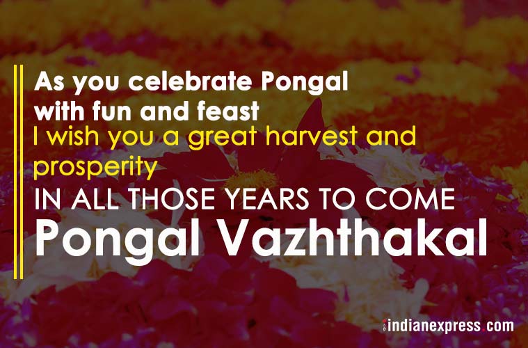 pongal 2018, pongal 2018 wishes, pongal wishes, pongal whatsapp messages, pongal images, pongal greetings, happy pongal messages, happy pongal images, happy pongal photos 