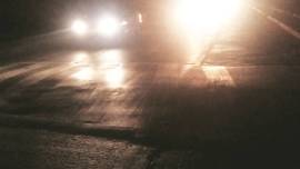 Golden jackal, Golden jackal death, Eastern Express Highway, Mumbai news, indian express news