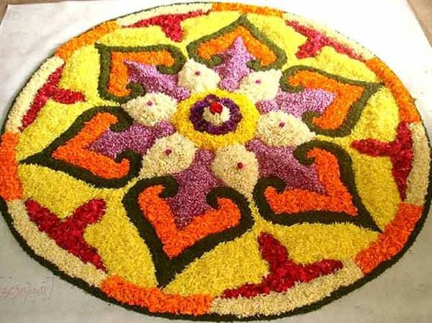 pongal, pongal designs, pongal rangoli designs, pongal colourful rangoli, pongal flower rangoli, pongal celbrations, indian express, indian express news