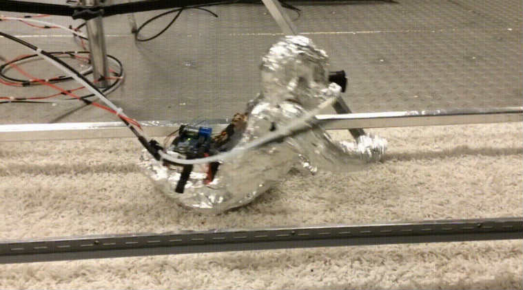 Infants, robotic baby, Purdue University, biological dust, microbes, allergen-carrying particles, asthma, particulate matter, breathing zones, lungs, respiratory system