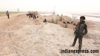 Uttar Pradesh illegal sand mining operation