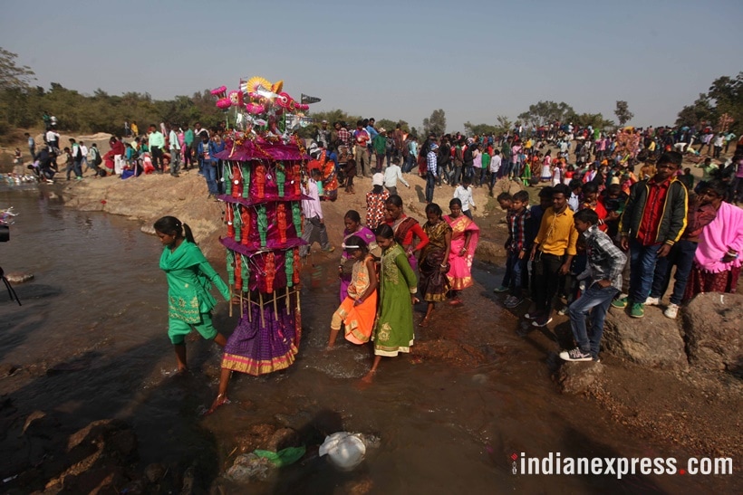 makar sankranti, pongal, makar sankranti pictures, pongal photos, makar sankranti 2018 photos, pongal photos, indian express, indian express news