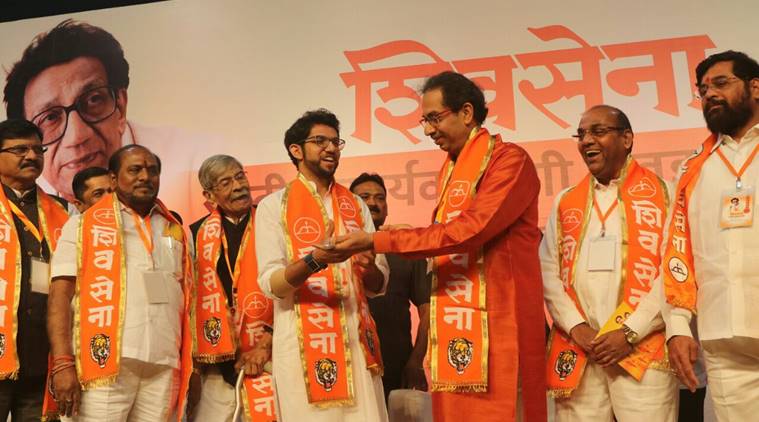 Shiv Sena makes break with BJP official, says it will