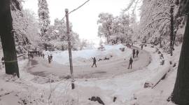 Shimla, Snow, Winter, snow in Himachal, Indian Express, India news