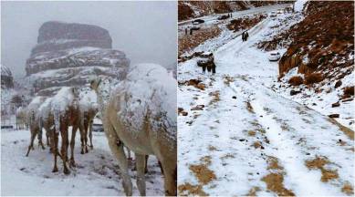 Saudi Arabia, Saudi Arabia sowfall, tabuk snowfall, Saudi Arabia desert snowfall, rare snowfall desert, viral news, tabuk snowfall photos, tabuk snow videos