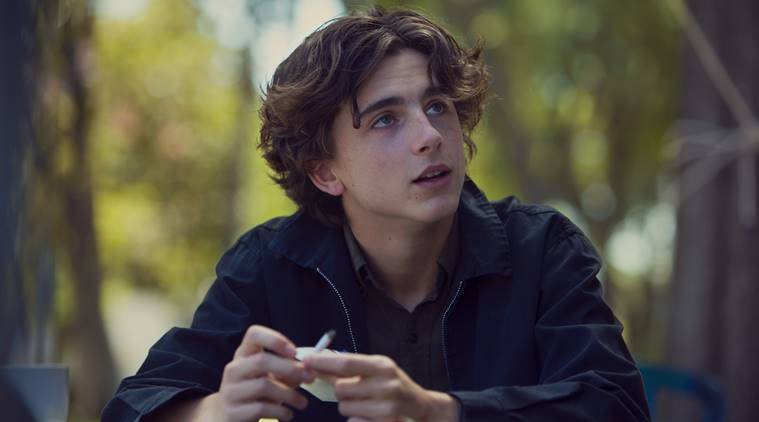   Timothy Chalamet in Arainy Day 