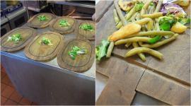 restaurant fine, wooden boards serve fine, fine for wooden plate food, uk restaurant fined 50k pound, food news, weird news, bizarre news, viral news, indian express