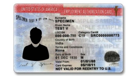 employment authorization card for legal aliens