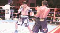 Vijender Singh, Vijender Singh India, India Vijender Singh, Vijender Singh bout, Vijender Singh fight, sports news, Indian Express