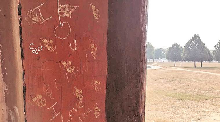 chandigarh botanical garden, grafitti, wall defacing, sarangpur village, monument wall deface, indian express