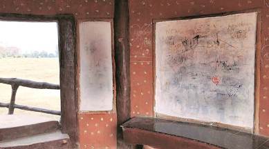 chandigarh botanical garden, grafitti, wall defacing, sarangpur village, monument wall deface, indian express