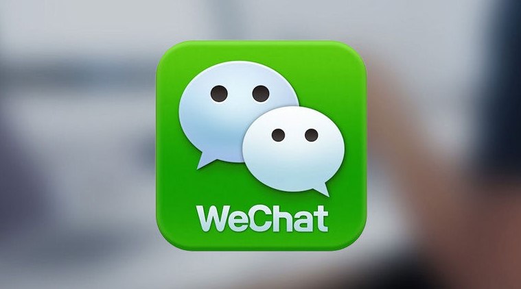 WeChat logo Logo Animated Icon download in JSON, LOTTIE or MP4 format