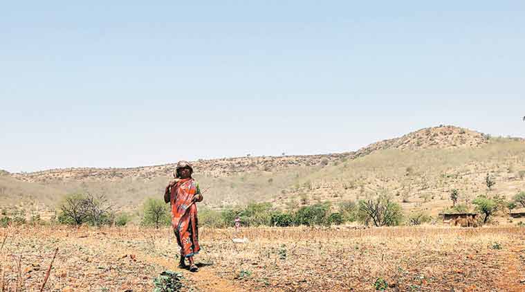 union budget, Indian farmer, farmer crisis, woman farmers, schemes for woman farmers, farmers income, farmers distress, Economic Survey 2018, agriculture sector