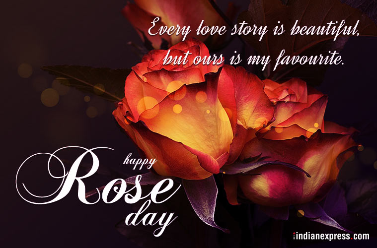 Rose Day Photos, Download The BEST Free Rose Day Stock Photos & HD Images
