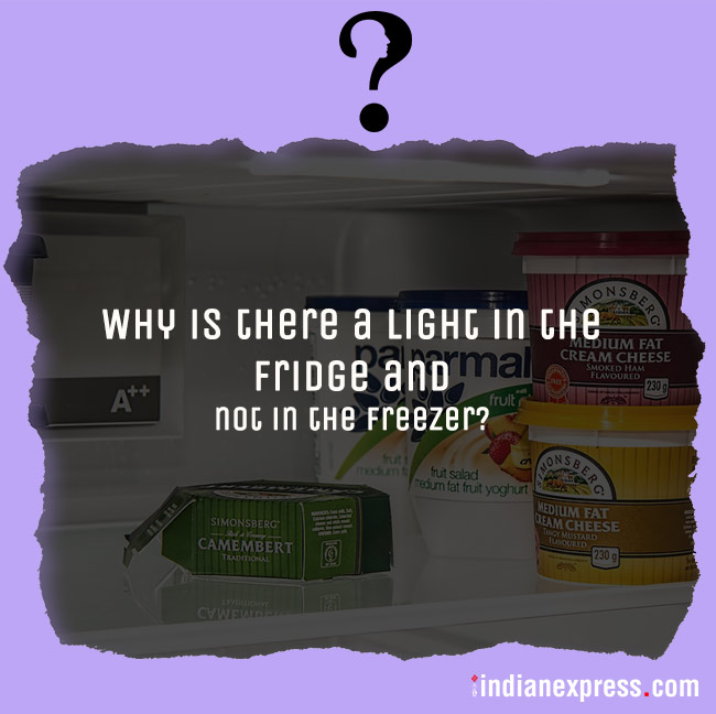 life's biggest questions, weird life questions, most funny questions, life, philosophical questions about life, quirky questions, questions about life, funny picture gallery, Indian express, Indian express news