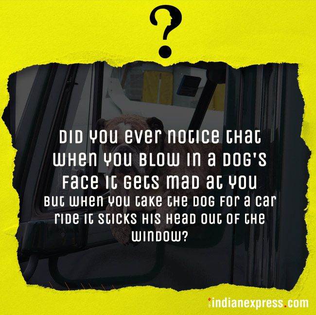 life's biggest questions, weird life questions, most funny questions, life, philosophical questions about life, quirky questions, questions about life, funny picture gallery, Indian express, Indian express news